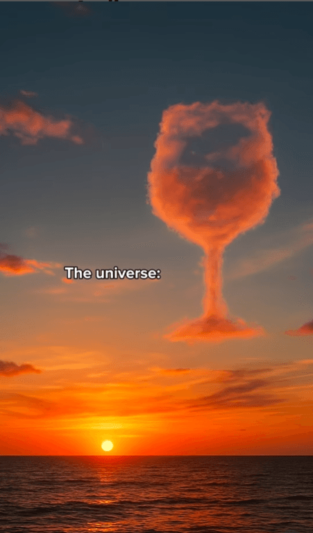 I Asked the Universe to Give Me a Sign Instagram Trend January 2026