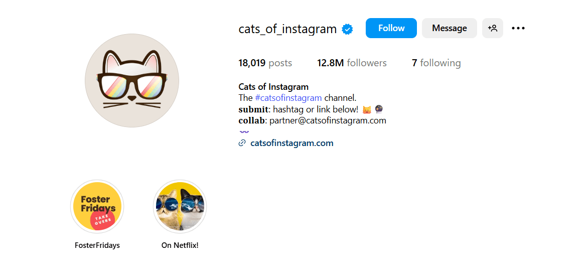 Optimizing instagram bio to increase followers