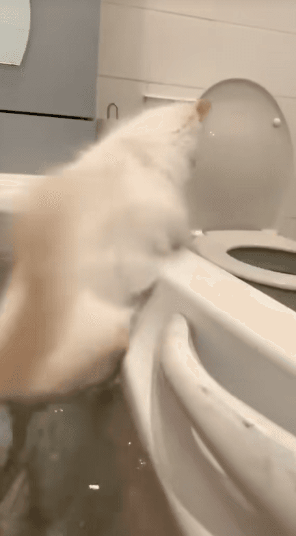 The “Sets With Me” Nail Carousel Trend