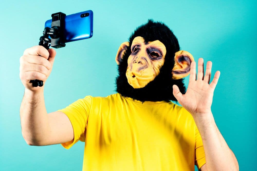 how to go viral on tiktok with humour